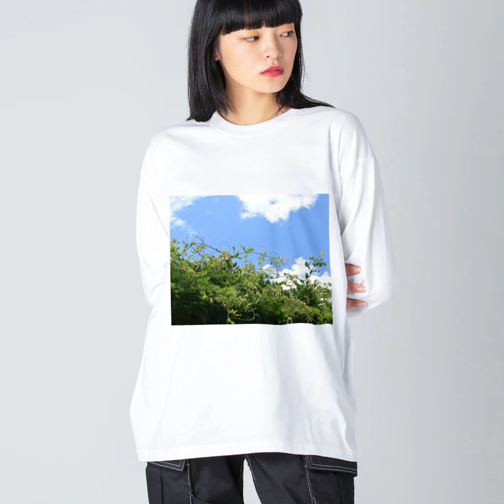 ぺてぃもーずのおみせのソラとハッパ Big Long Sleeve T-Shirt