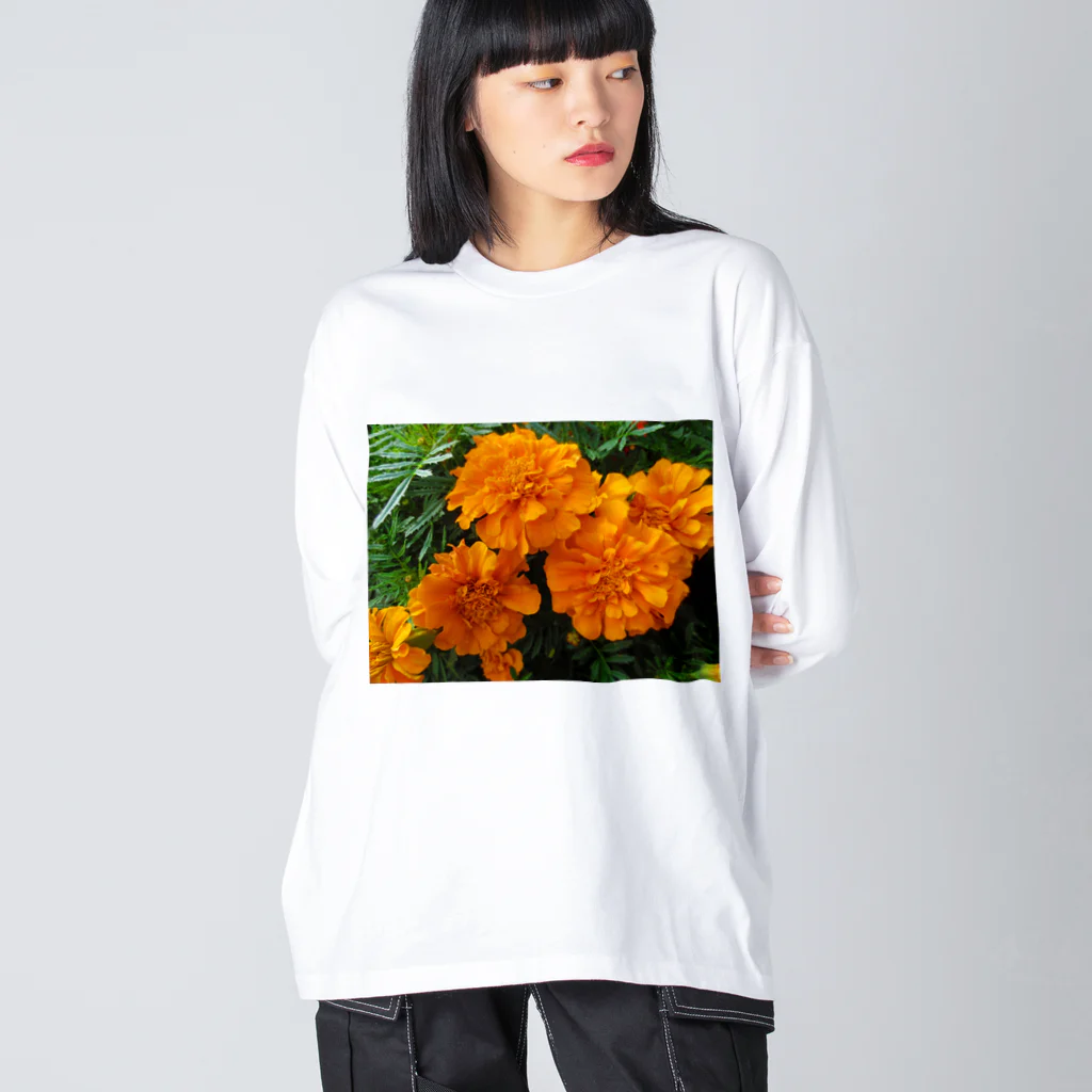 Dreamscape(LUNA)の秘密の小箱 Big Long Sleeve T-Shirt