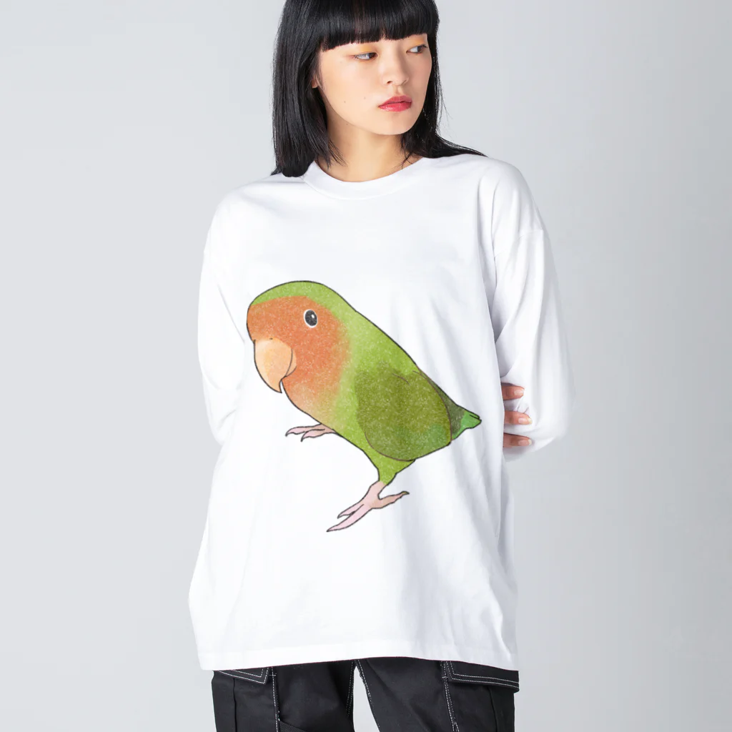 まめるりはことりの見つめるコザクラインコちゃん【まめるりはことり】 ビッグシルエットロングスリーブTシャツ