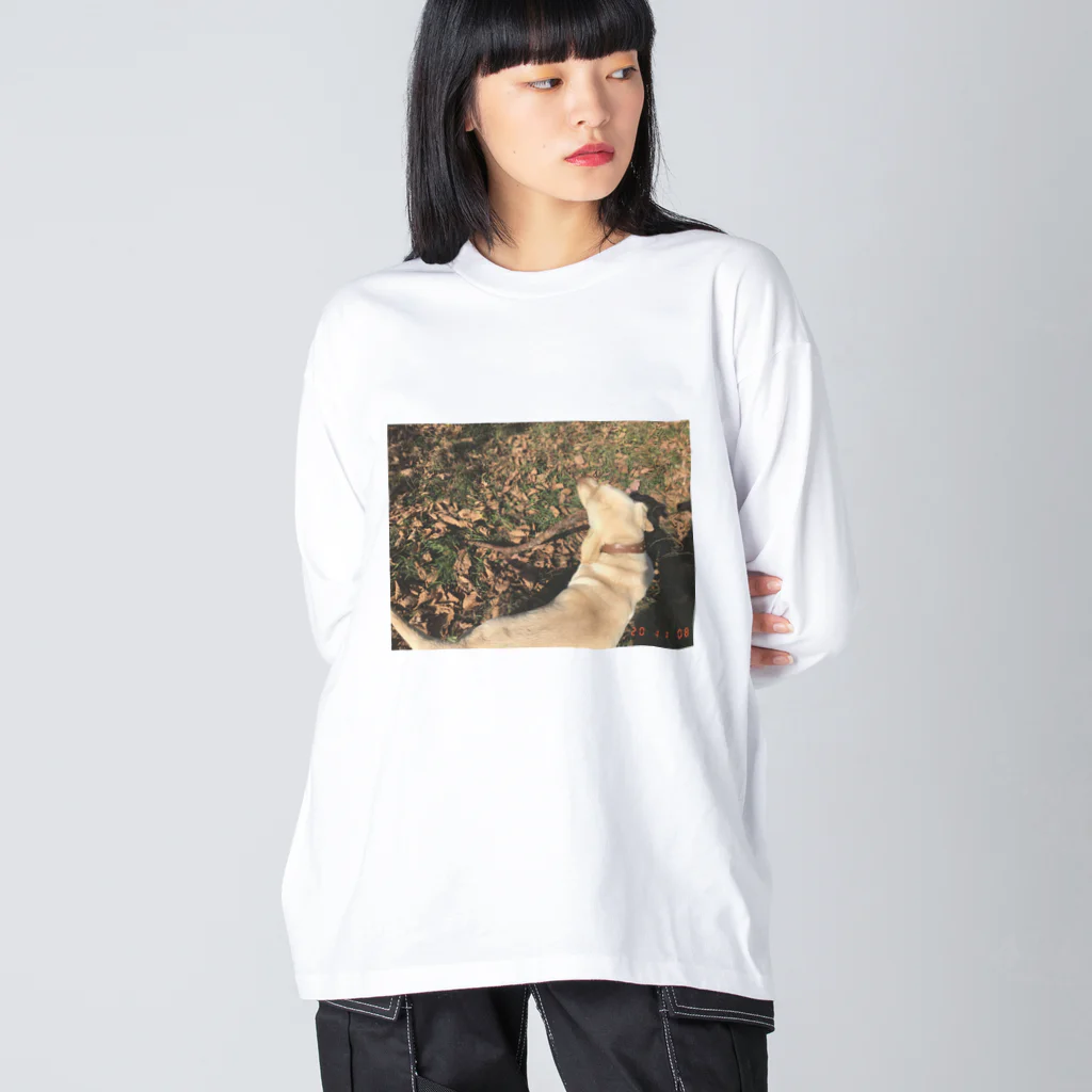 told_の秋キナ Big Long Sleeve T-Shirt