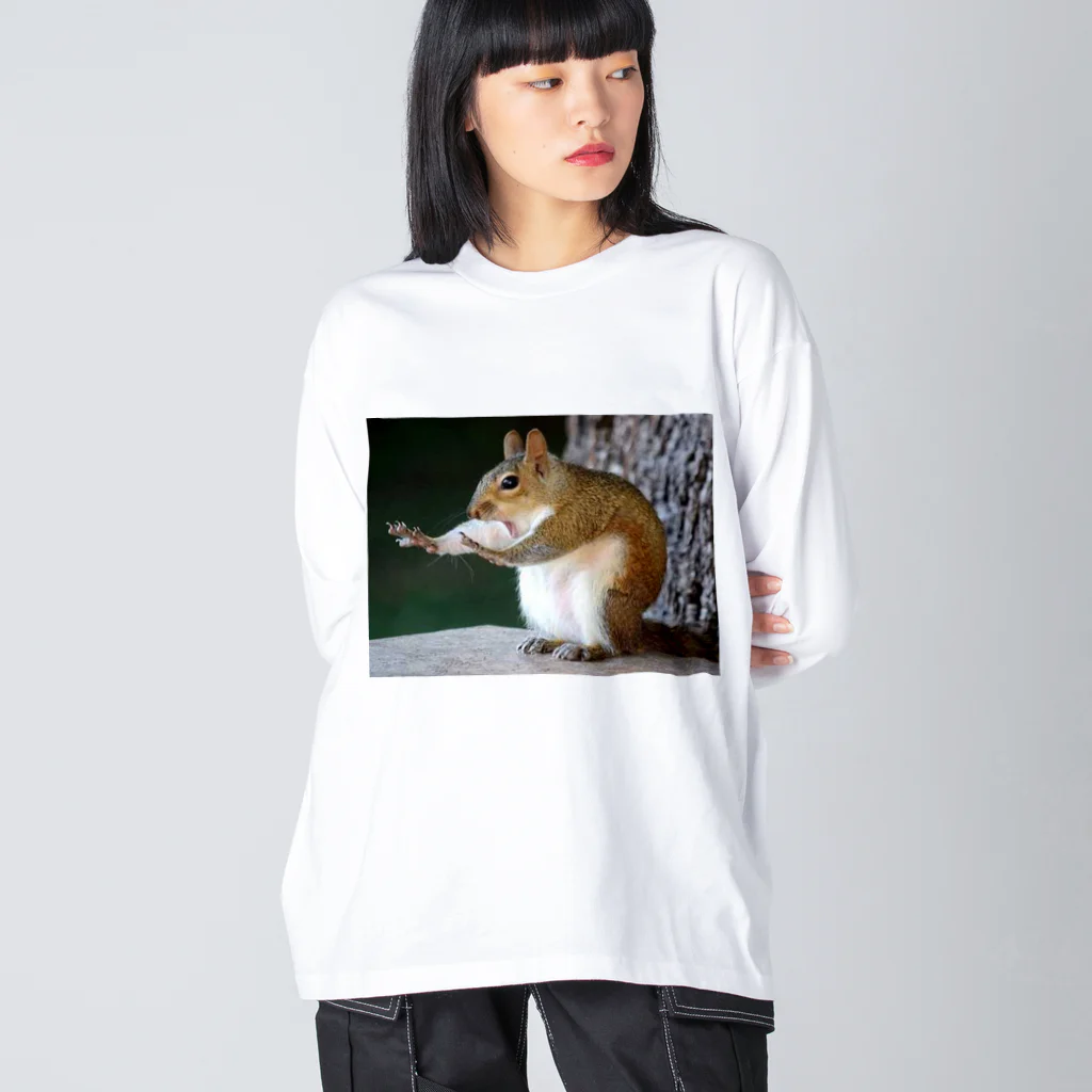 R-pigのジャッキー・リス Big Long Sleeve T-Shirt