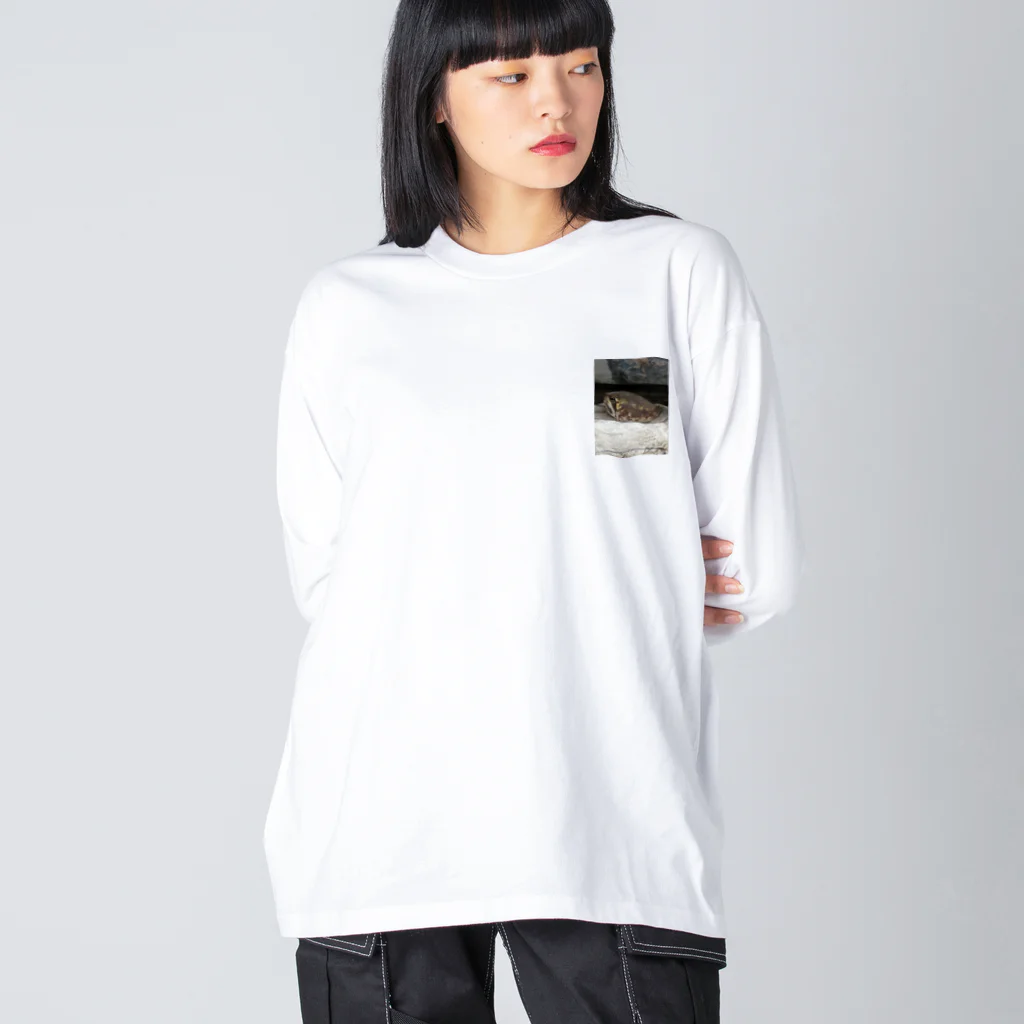 marron storeのあめふくらがえるのマロンです🌰 ビッグシルエットロングスリーブTシャツ