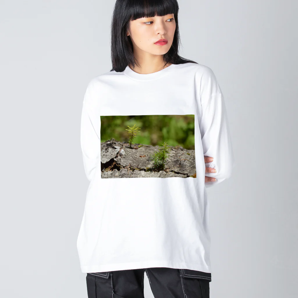 FUNAKO　SHOPの北海道津別町の自然 ビッグシルエットロングスリーブTシャツ