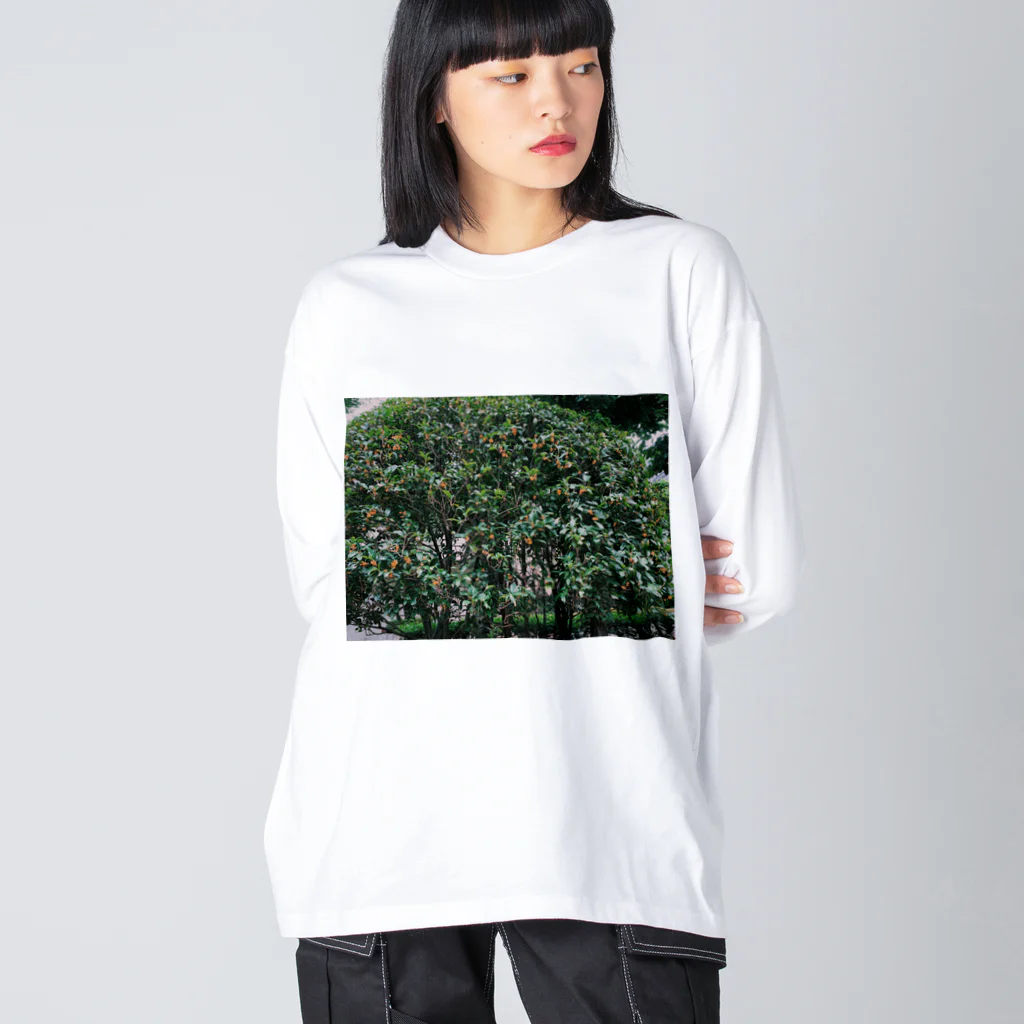 目黒川のキンモクセイ Big Long Sleeve T-Shirt