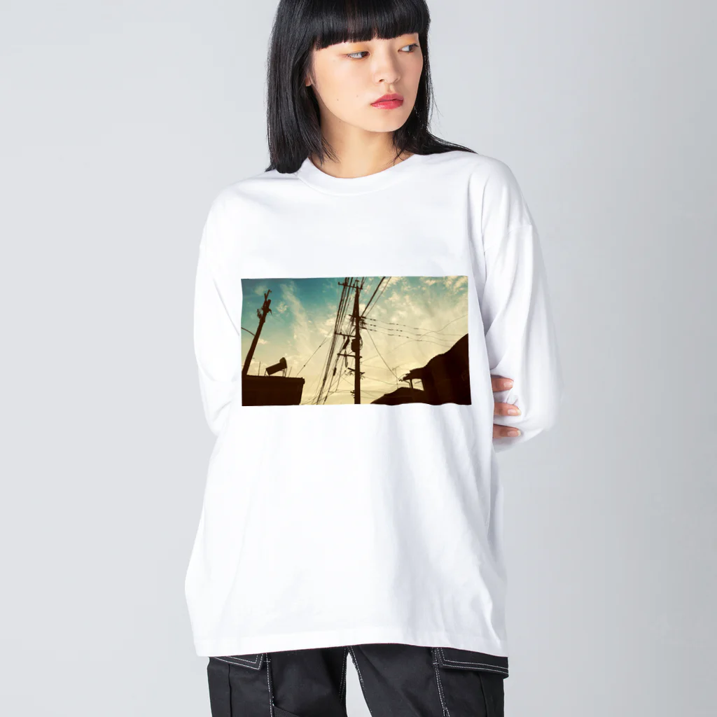 ひかるのden Big Long Sleeve T-Shirt