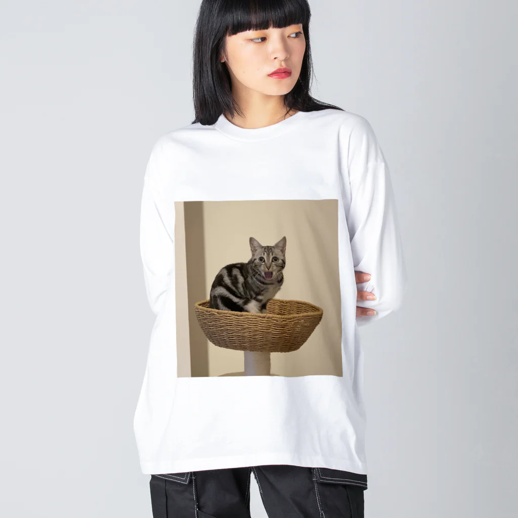 かかしたまごの猫アイーン ビッグシルエットロングスリーブTシャツ