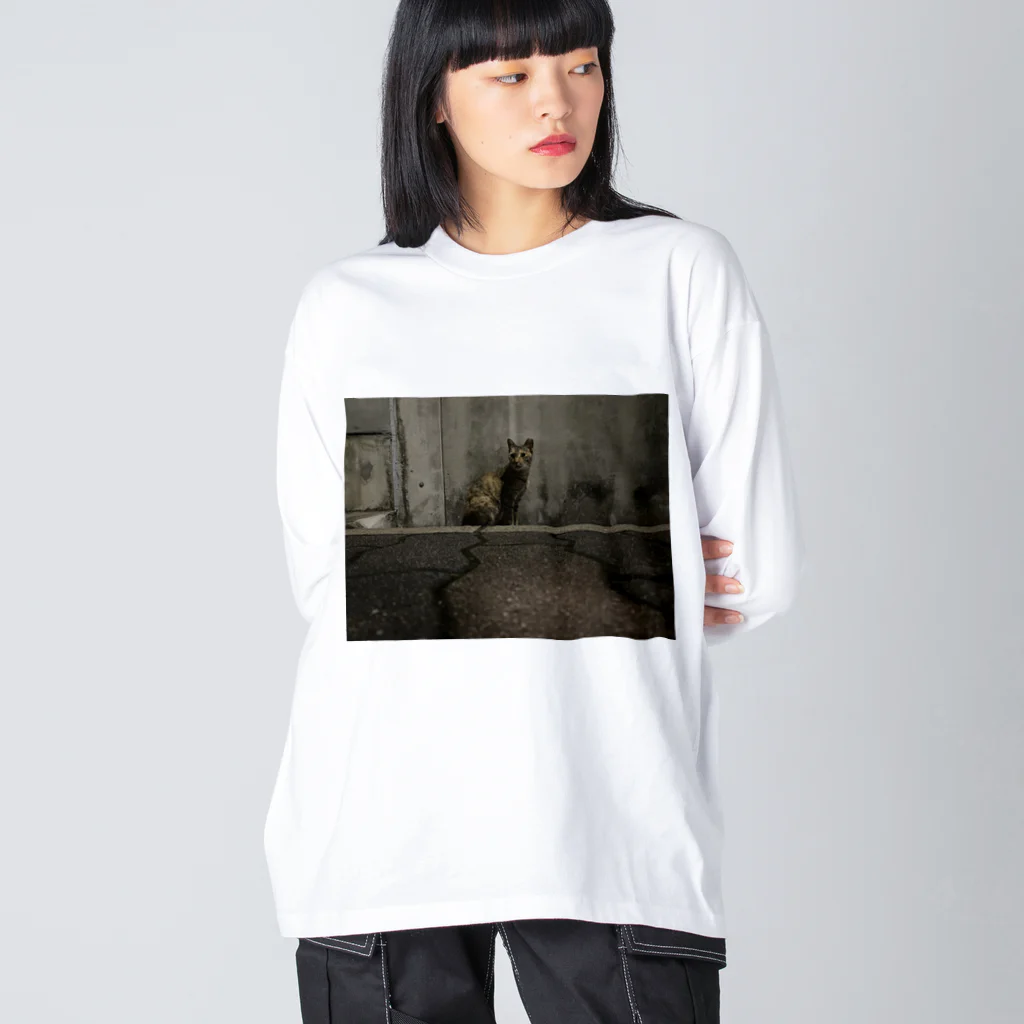 neko_00_nekoのビビり猫さん Big Long Sleeve T-Shirt