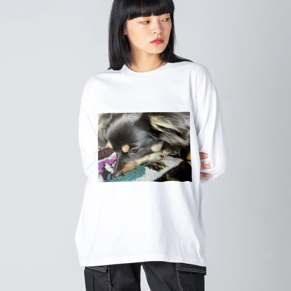 まろちの愛しのワン公、まろち Big Long Sleeve T-Shirt