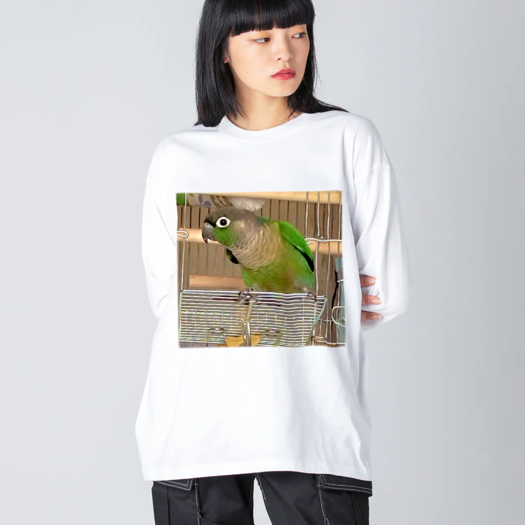 inko andのウロコインコのおーちゃん ビッグシルエットロングスリーブTシャツ