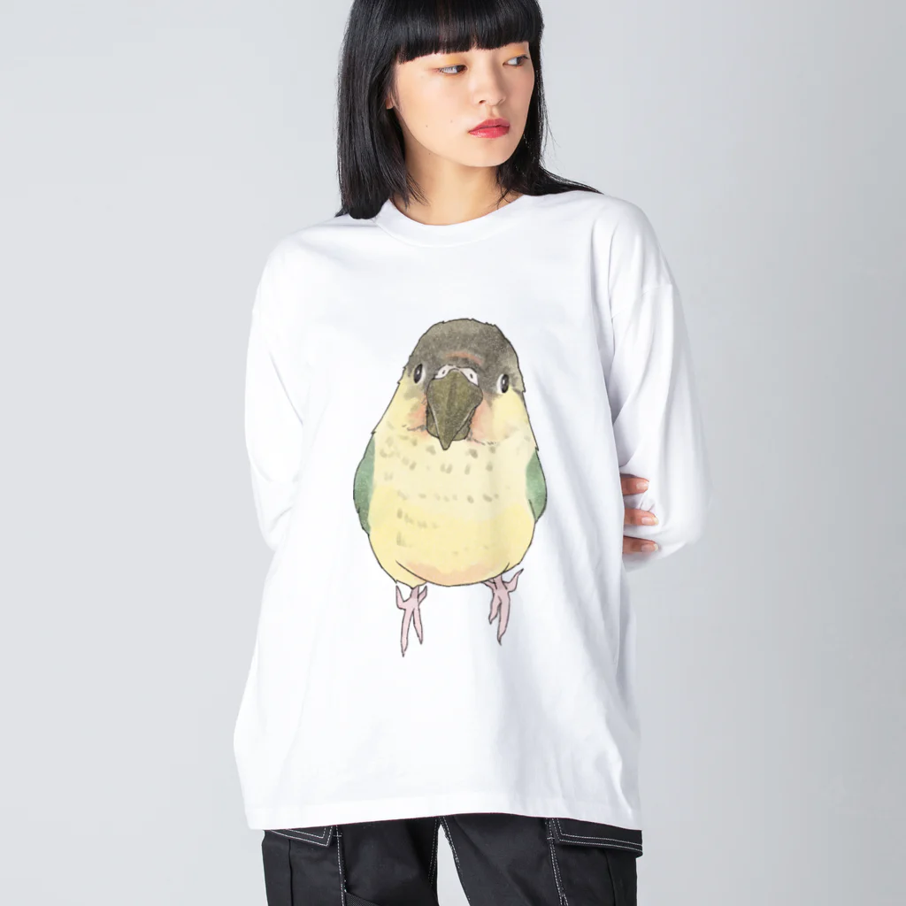 まめるりはことりの可愛いウロコメキシコインコちゃん【まめるりはことり】 ビッグシルエットロングスリーブTシャツ