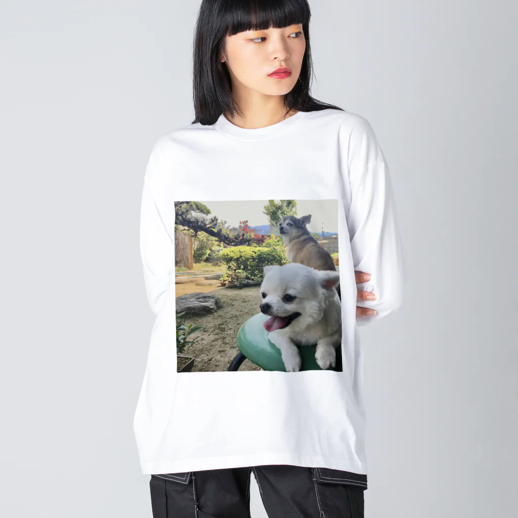 いぬいぬいぬの民家の犬 ビッグシルエットロングスリーブTシャツ