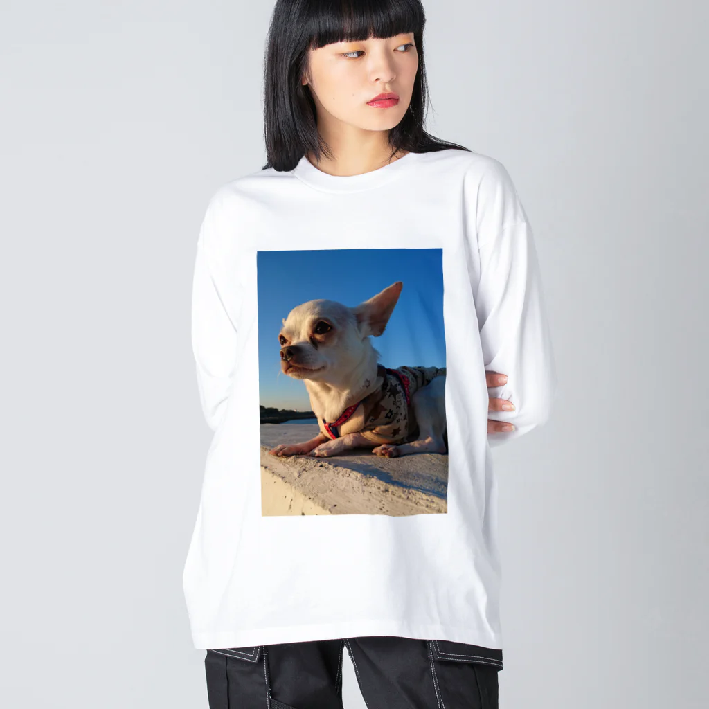 うめこずかんの海辺のうめこ１ Big Long Sleeve T-Shirt