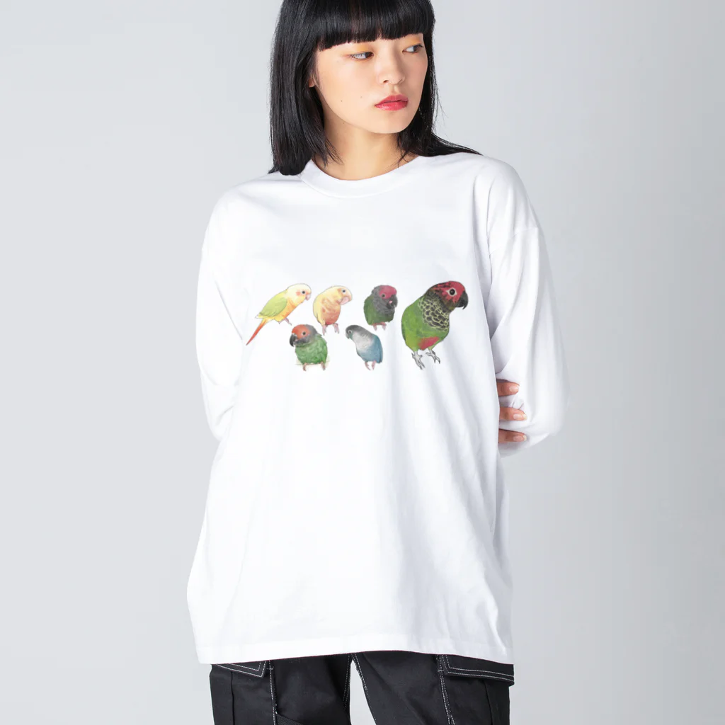 まめるりはことりのあつまれウロコインコちゃん【まめるりはことり】 ビッグシルエットロングスリーブTシャツ