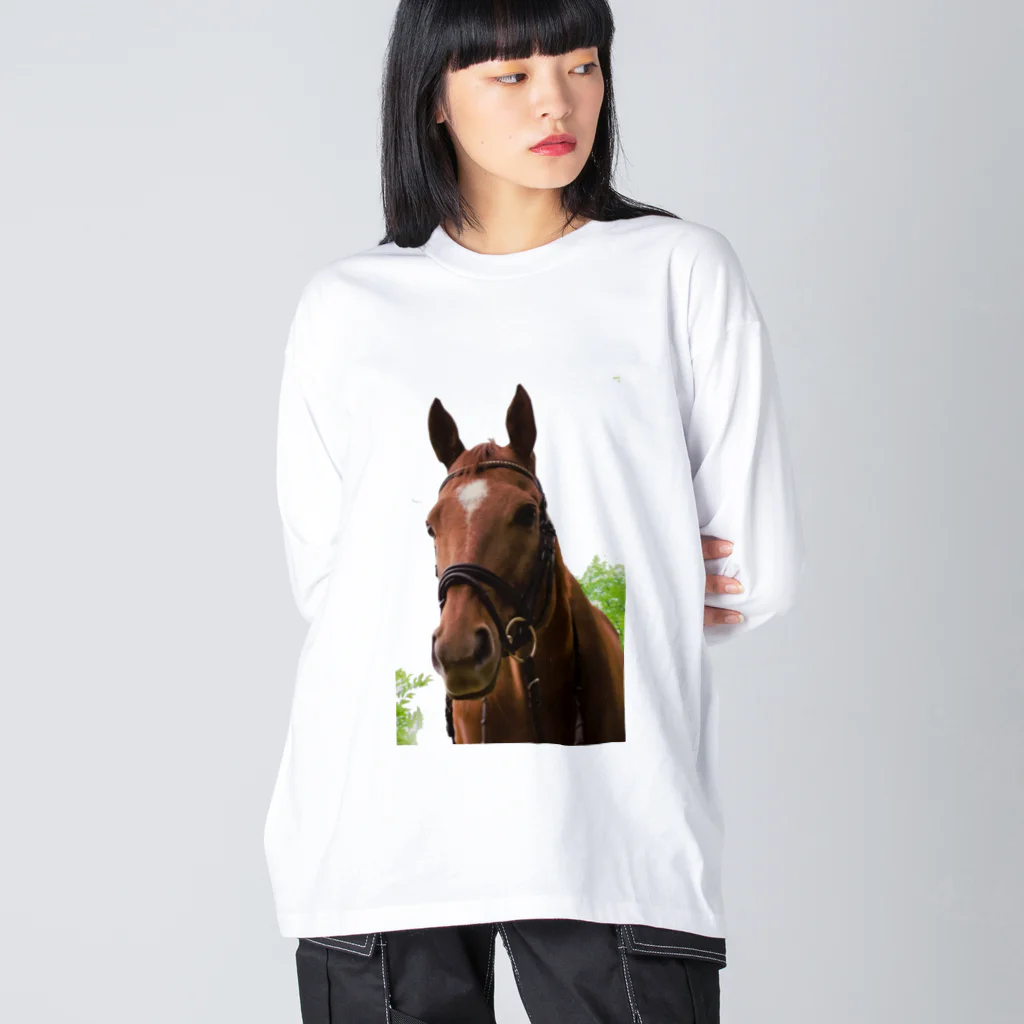 Teatime ティータイムの牧場 乗馬 馬術の馬 Big Long Sleeve T-Shirt