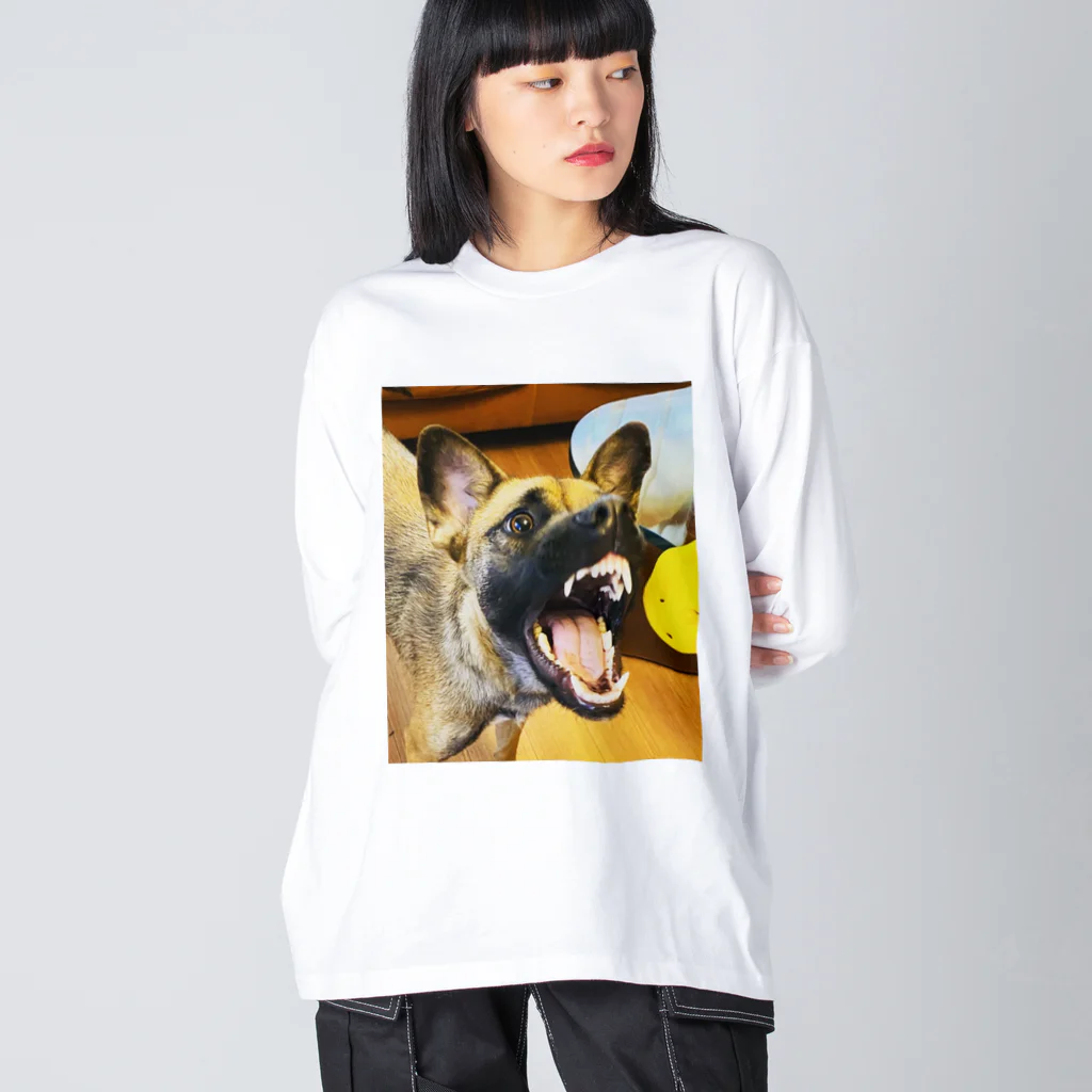 イヌソーキュートのはな Big Long Sleeve T-Shirt