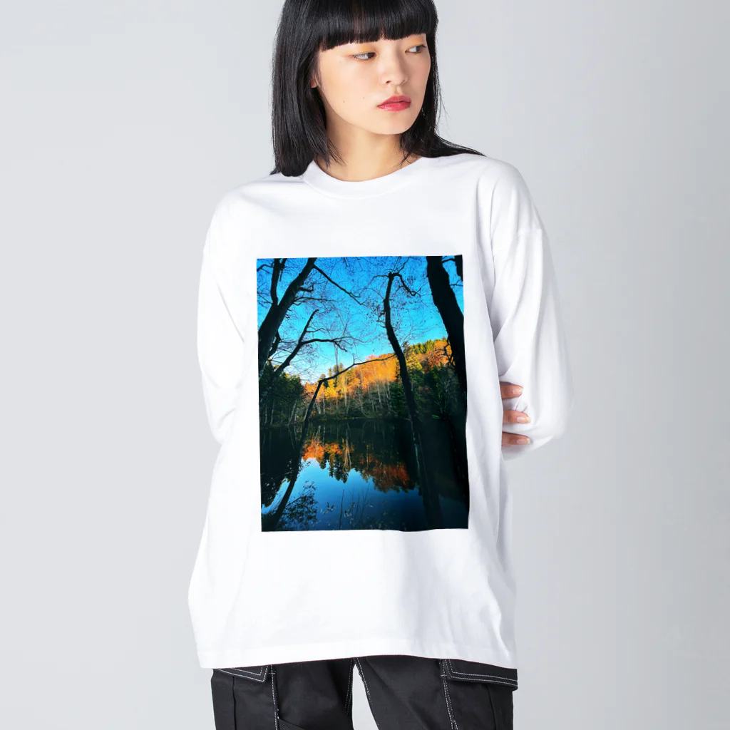 SwellのColor of the Forest ビッグシルエットロングスリーブTシャツ