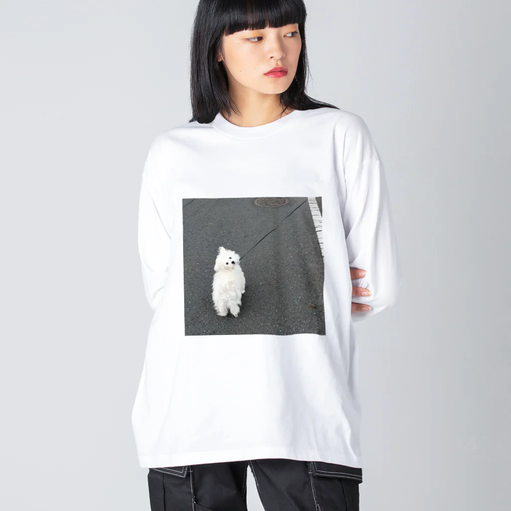 chehongmanのおさんぽ Big Long Sleeve T-Shirt