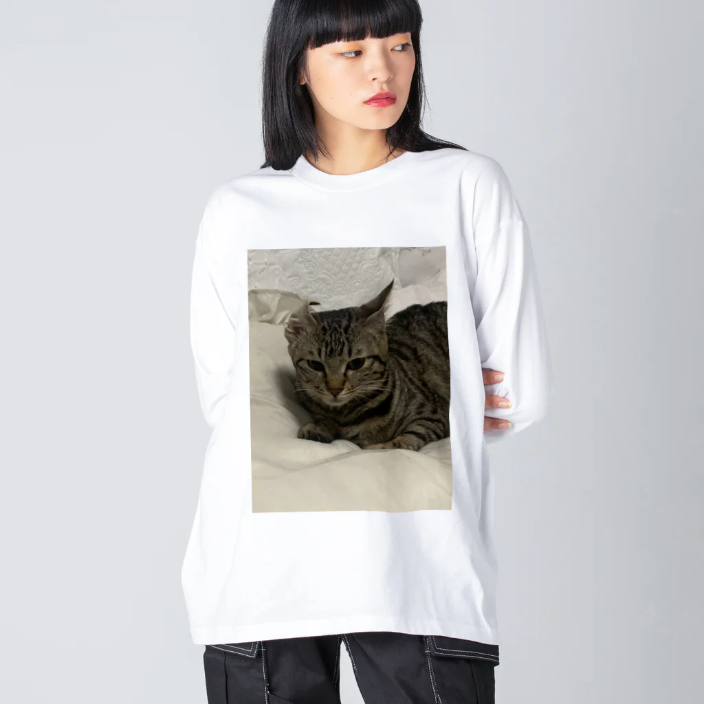 腹痛のねむぽんこ ビッグシルエットロングスリーブTシャツ