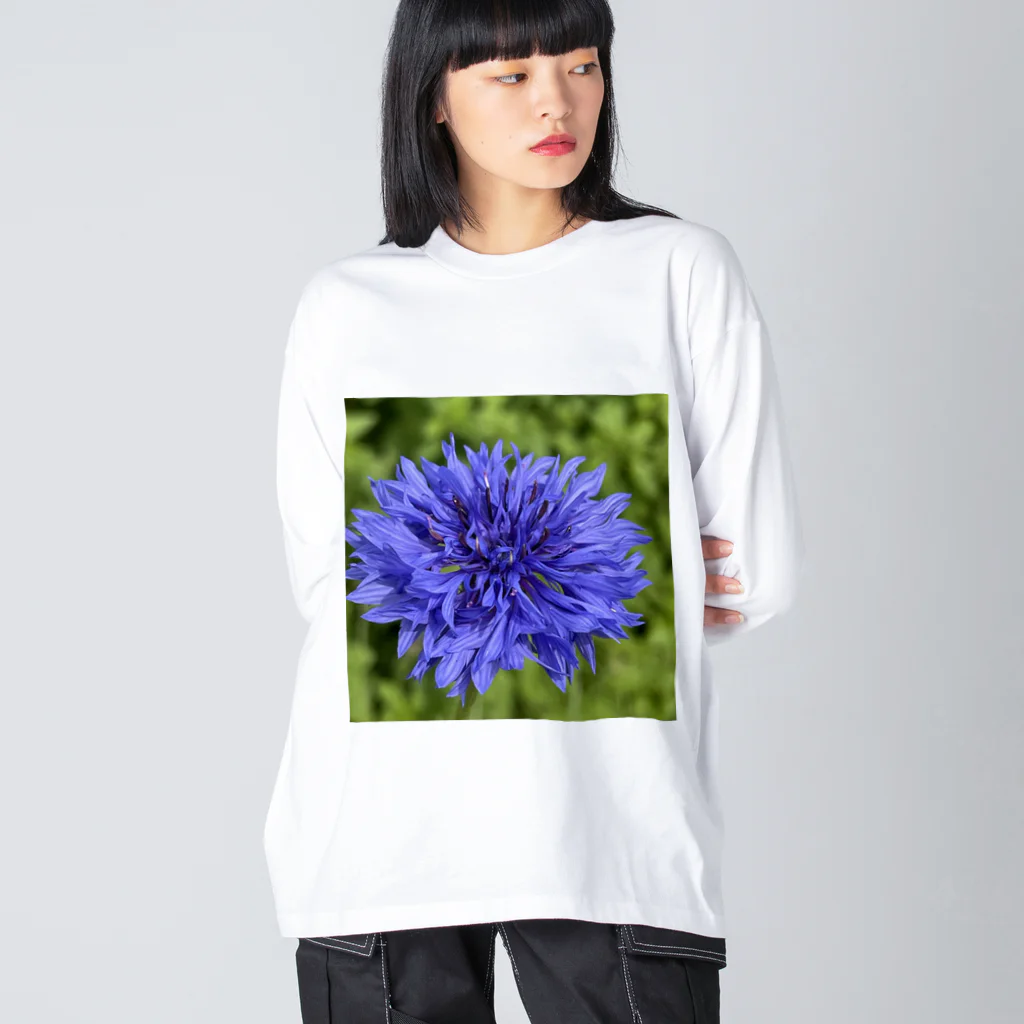 あゆのしおやきのヤグルマギク(青) Big Long Sleeve T-Shirt