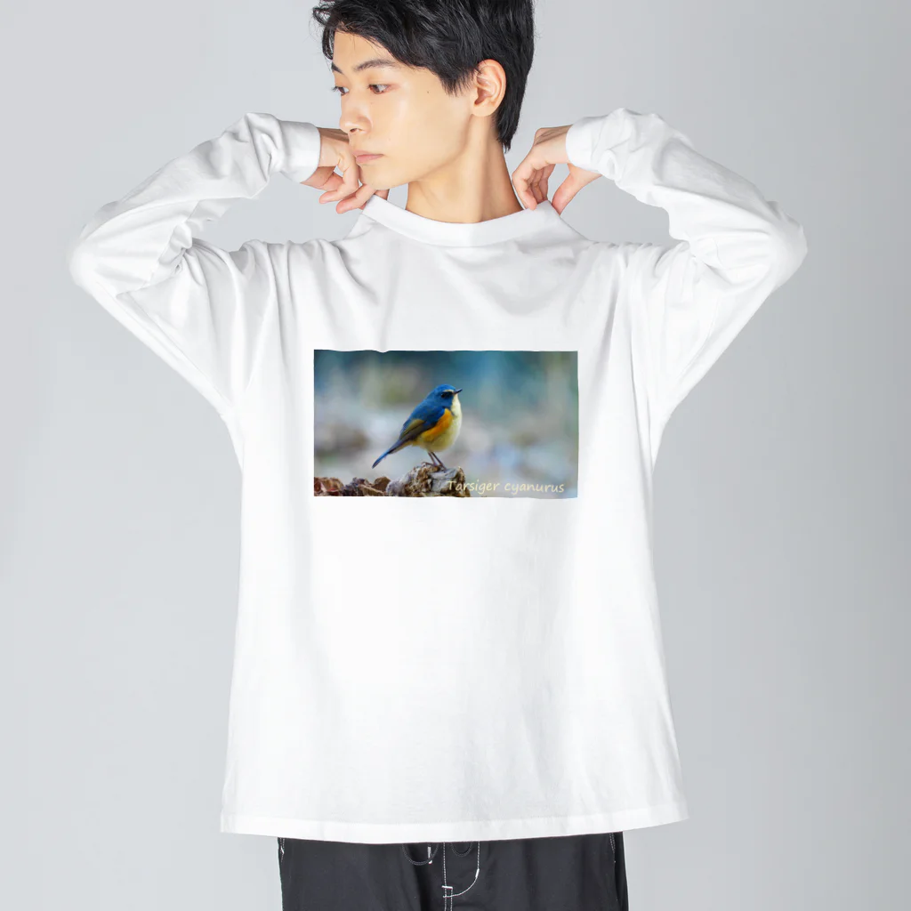 emiemieのルリビタキ（学名入り） Big Long Sleeve T-Shirt