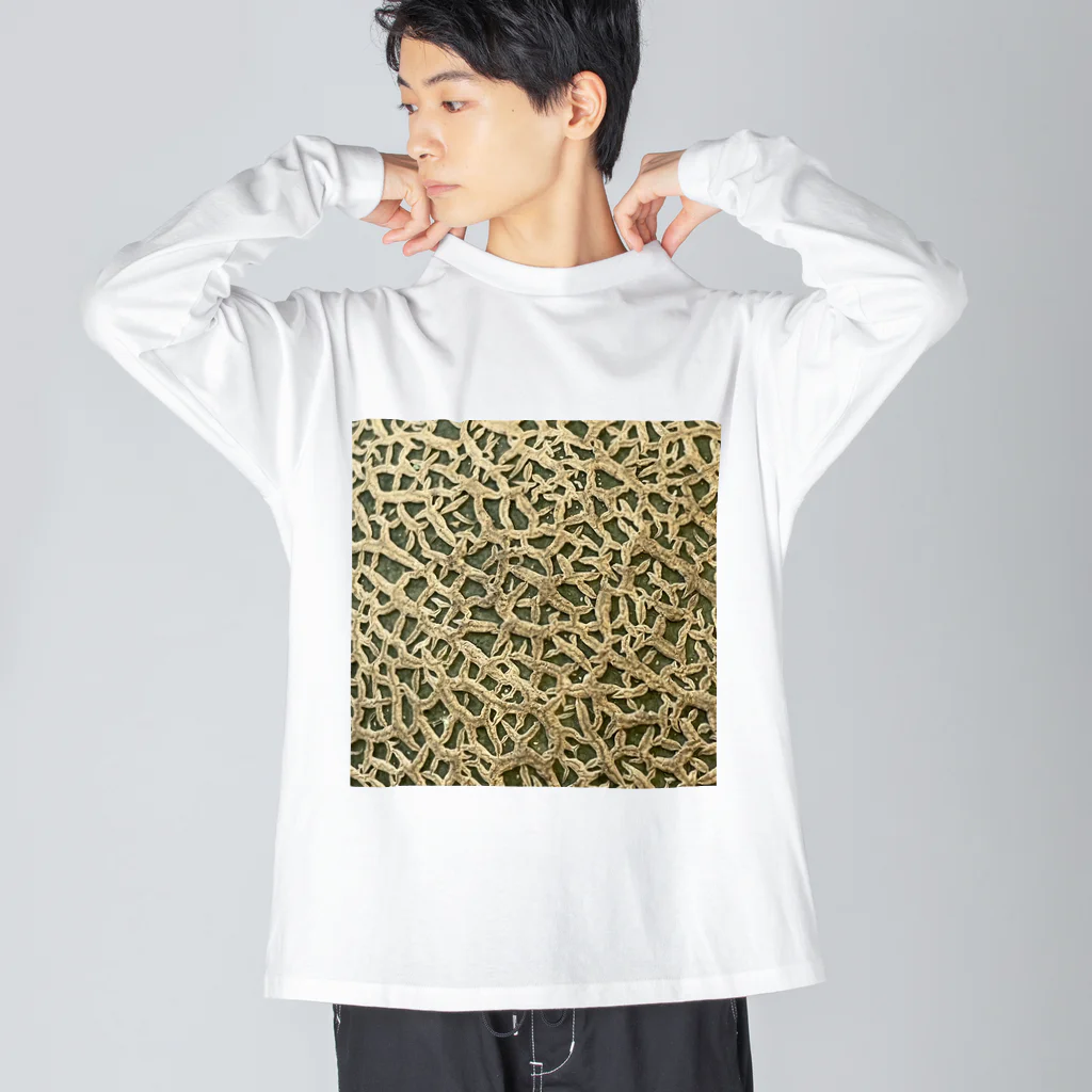 あゆのしおやきのメロンの皮 Big Long Sleeve T-Shirt