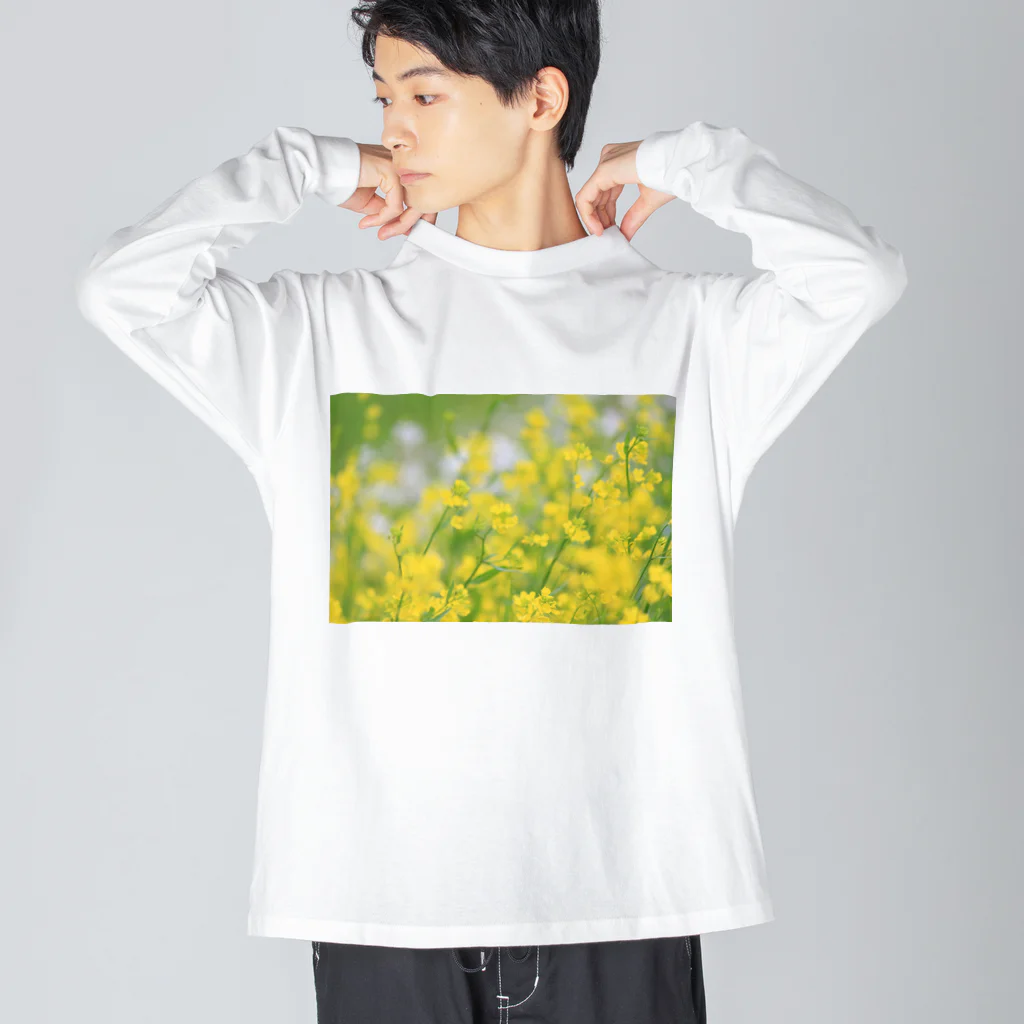 サキノと申しますの春の光 Big Long Sleeve T-Shirt