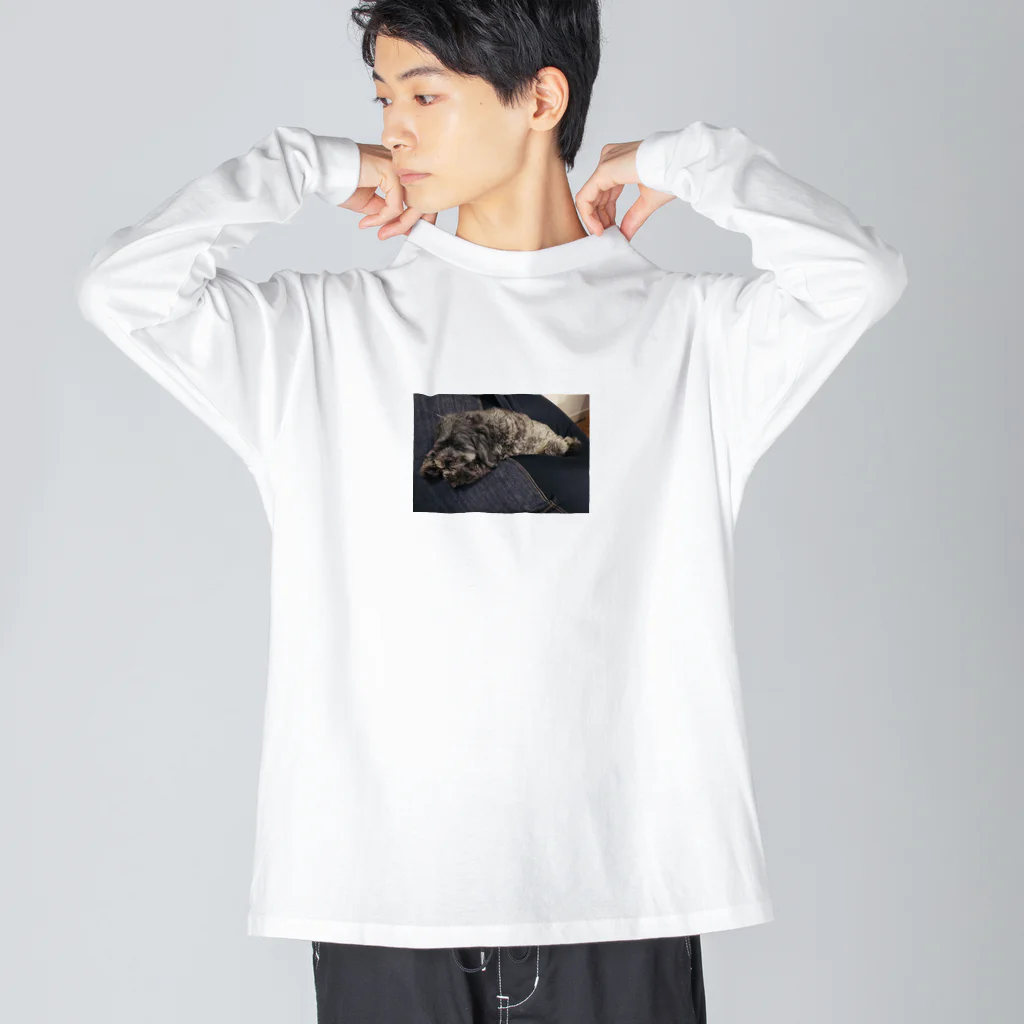 おっぽ君のダメになった犬 Big Long Sleeve T-Shirt