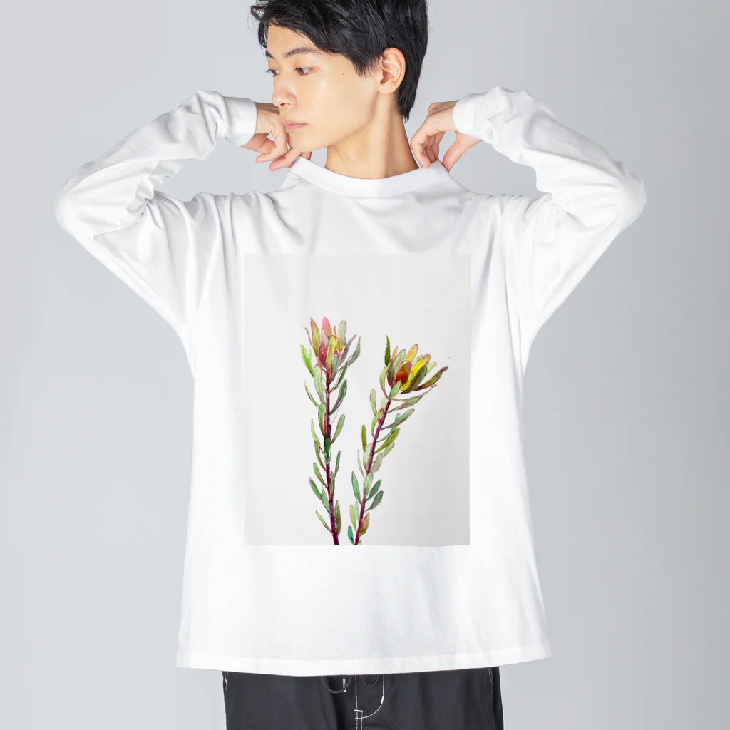 あおニャーマンの花水彩画 ビッグシルエットロングスリーブTシャツ