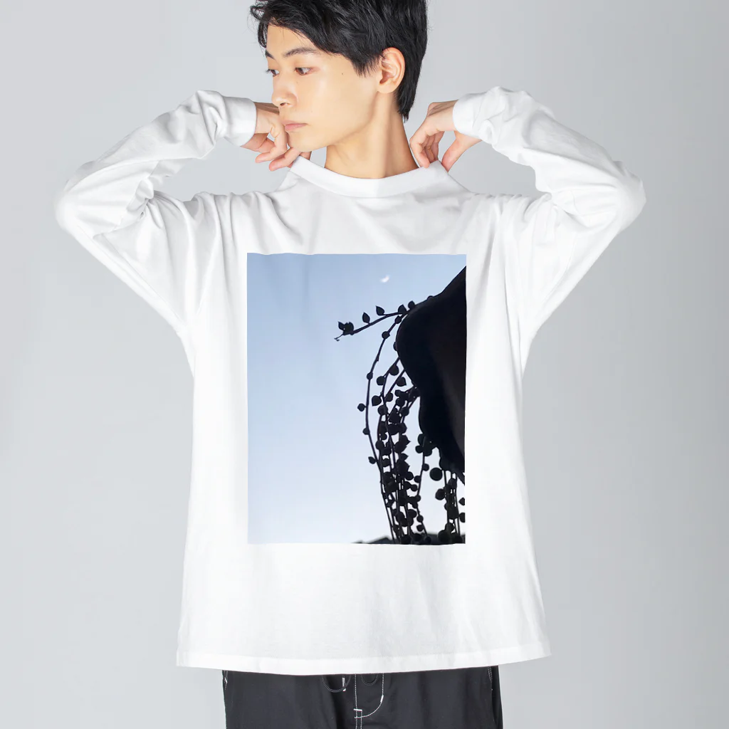 シアン猫の植物図鑑の三日月とグリーンネックレス Big Long Sleeve T-Shirt