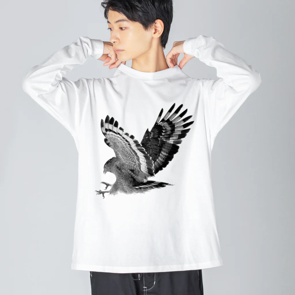 WILDBIRD GOODS SHOPのカンムリワシ・モノクロ ビッグシルエットロングスリーブTシャツ