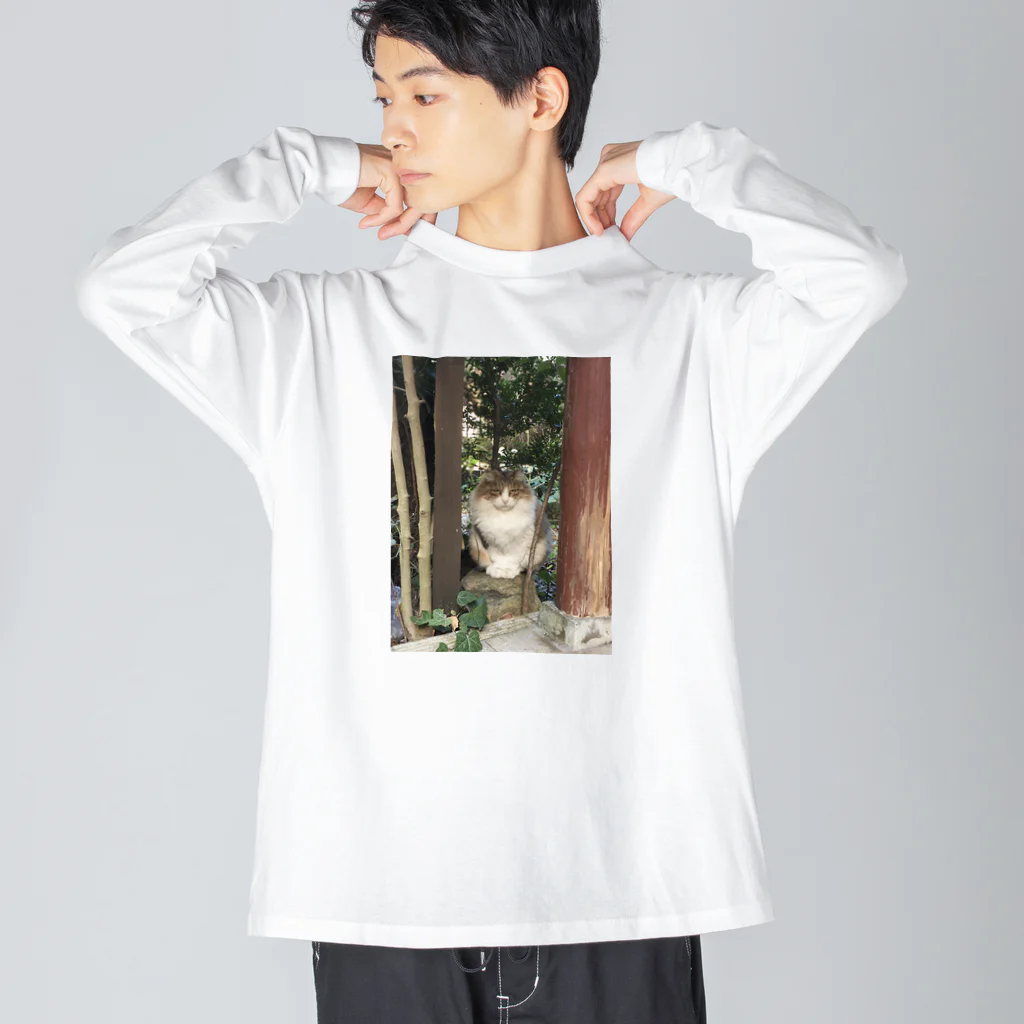 PLANET OF CATS ねこの惑星のmofuneco4 ビッグシルエットロングスリーブTシャツ