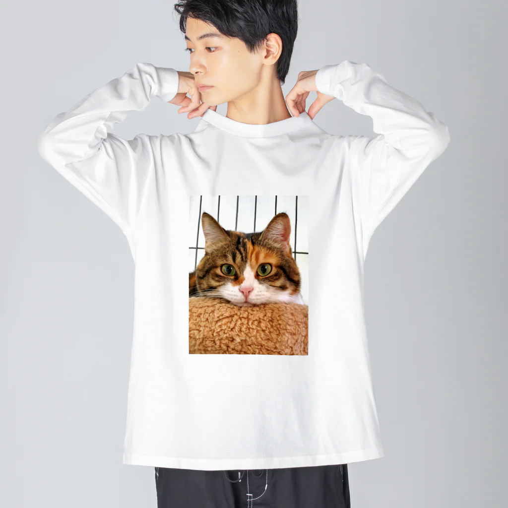 はなのははの赤鼻のはなちゃん Big Long Sleeve T-Shirt