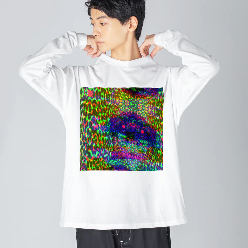 egg Artworks & the cocaine's pixの『∫αЙ†α₷₥α f4r sµ!c!de.』 ビッグシルエットロングスリーブTシャツ