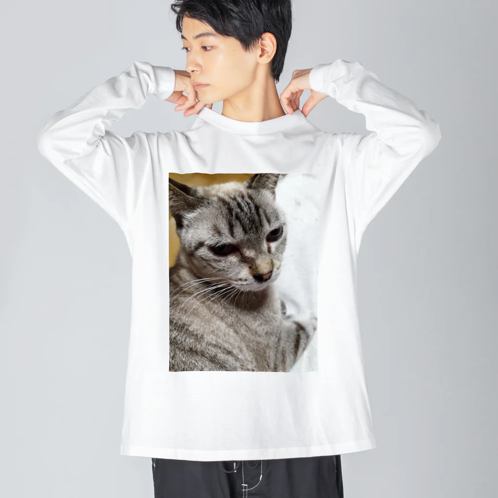 ねこの森でお散歩のさあ、モフりなさいよ。 Big Long Sleeve T-Shirt