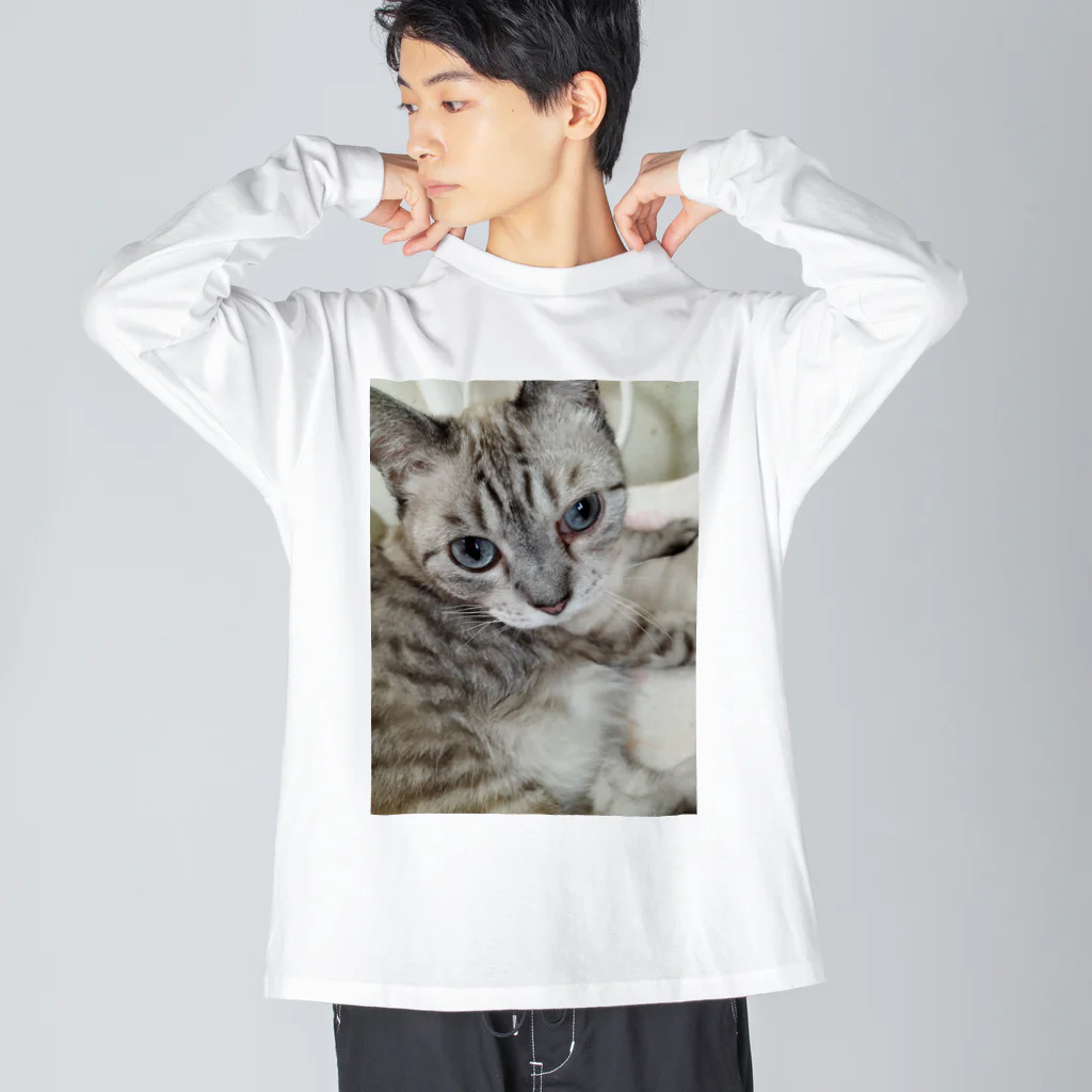 ねこの森でお散歩のフッワフワのシャムミックス ビッグシルエットロングスリーブTシャツ