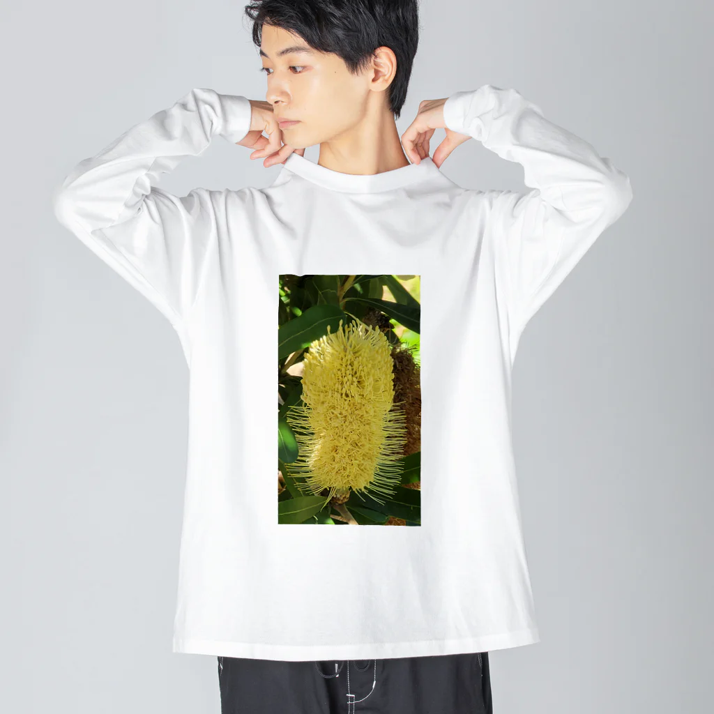 ♪mamashiro♪のリョク君 Big Long Sleeve T-Shirt