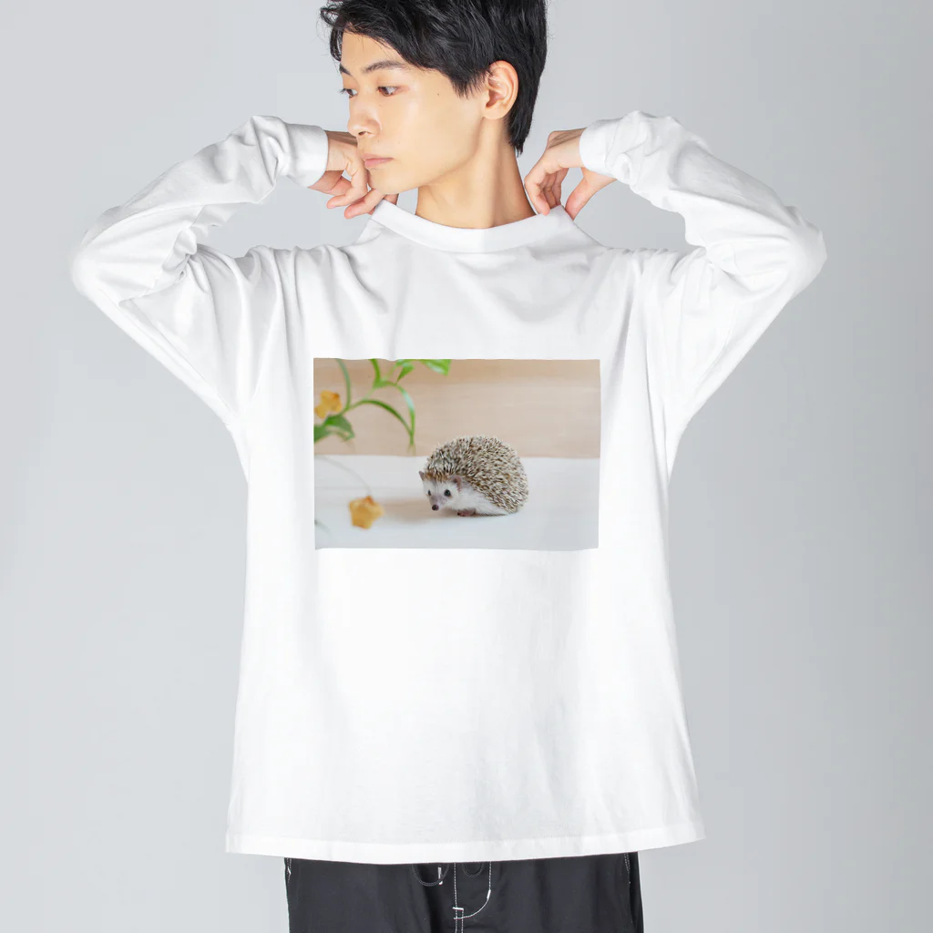 むぎこむ工房の上目遣いのハリネズミ Big Long Sleeve T-Shirt