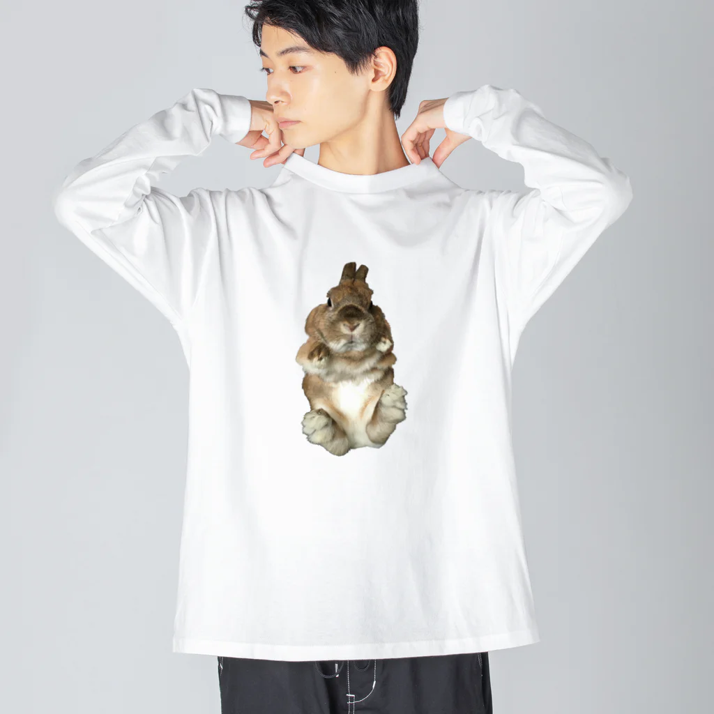 さとうのうさぎ写真 ビッグシルエットロングスリーブTシャツ