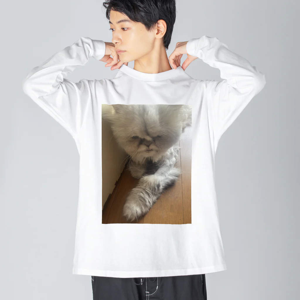 はなもうぽすぽすのリラックスはなもう Big Long Sleeve T-Shirt