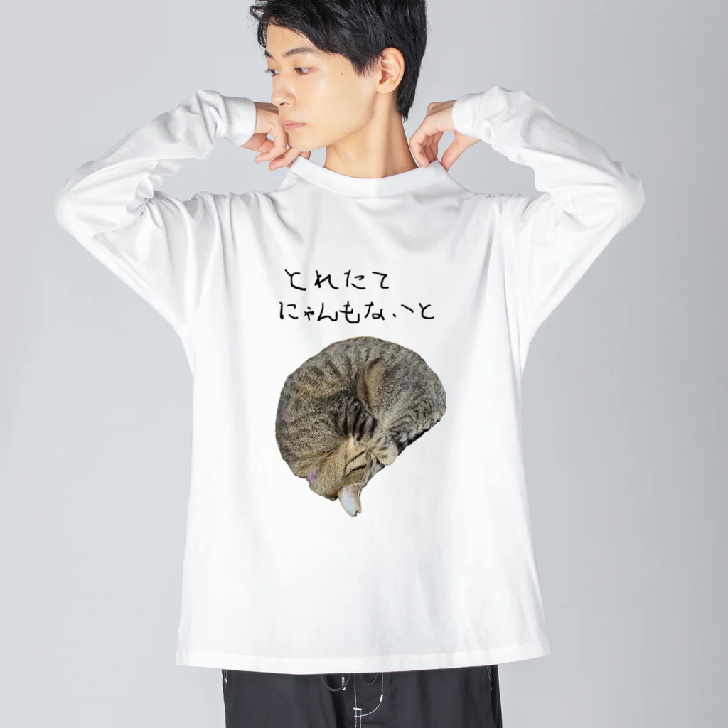 Sakura to Sumireのとれたてにゃんもないと ビッグシルエットロングスリーブTシャツ