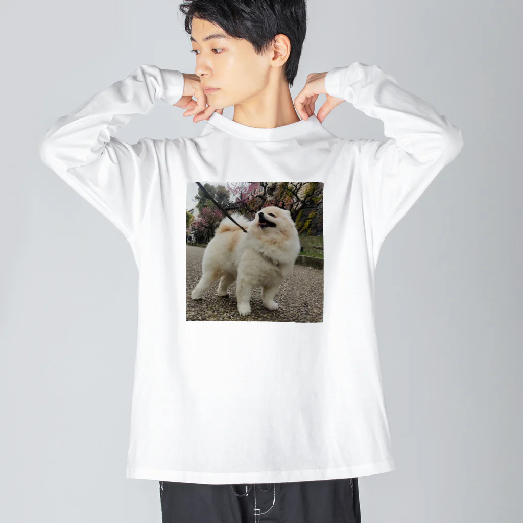 ポメラニアンのむめもの梅咲くポメラニアンむめも Big Long Sleeve T-Shirt