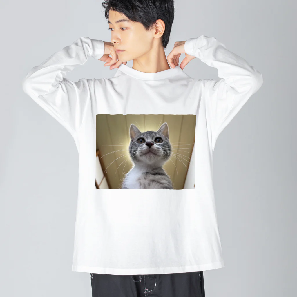 Vegeta_cat22の保護猫ベジータ　神 ビッグシルエットロングスリーブTシャツ