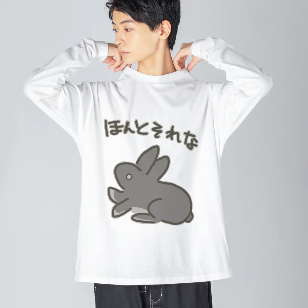 ミナミコアリクイ【のの】のほんとそれな【うさぎ】 ビッグシルエットロングスリーブTシャツ