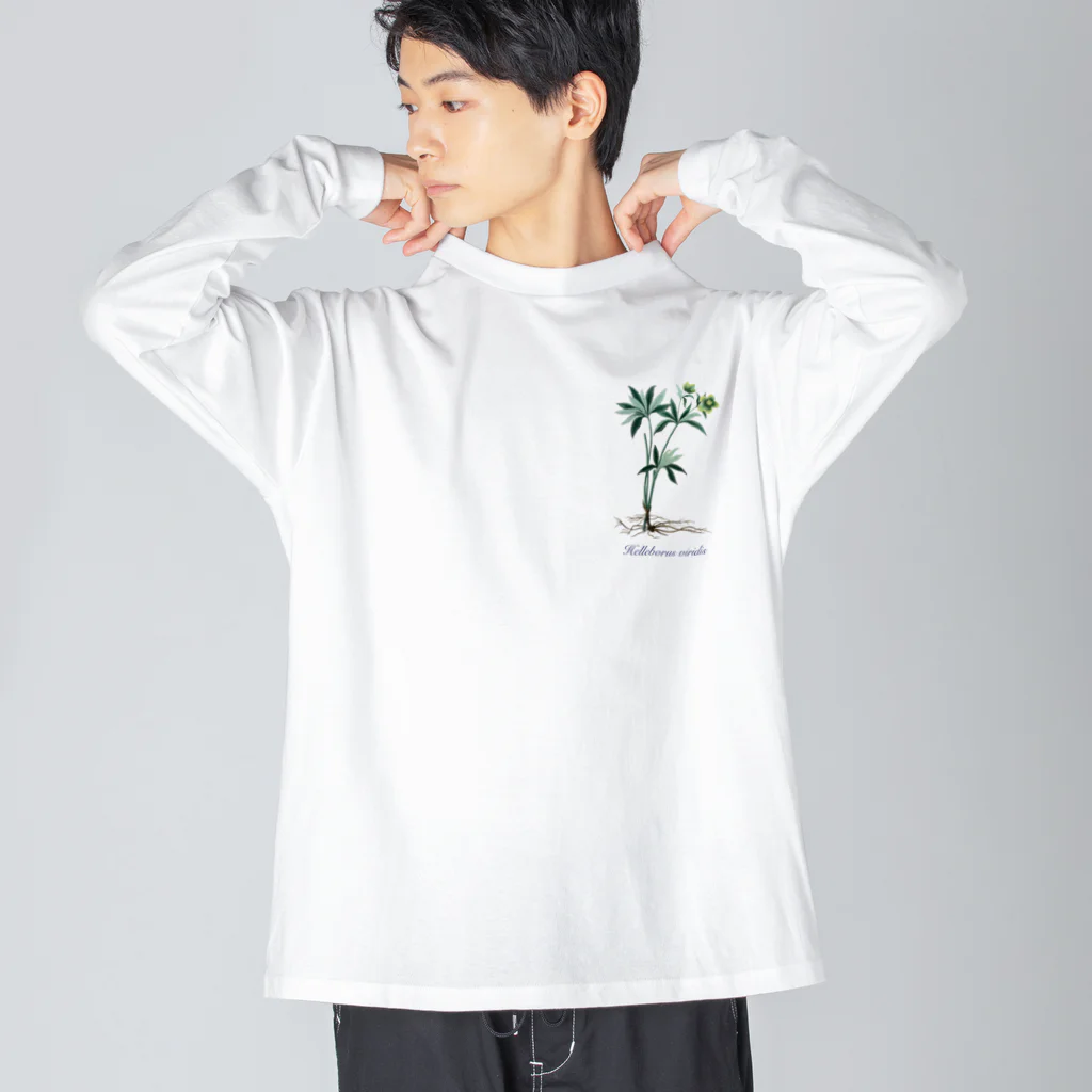 Nursery Rhymes  【アンティークデザインショップ】のクリスマスローズ - アサギフユボタン Big Long Sleeve T-Shirt