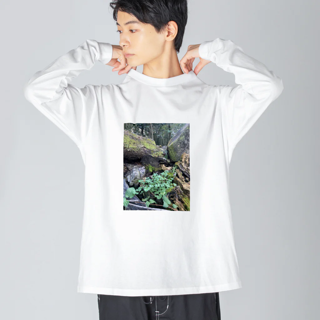 FIRE FLYの多様性の森 Big Long Sleeve T-Shirt