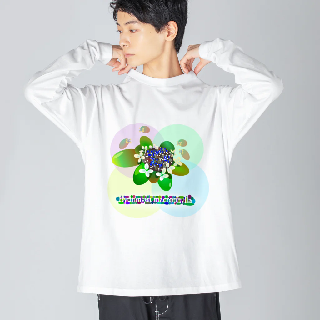 『NG （Niche・Gate）』ニッチゲート-- IN SUZURIの〇絵『額紫陽花h.t.』 ビッグシルエットロングスリーブTシャツ