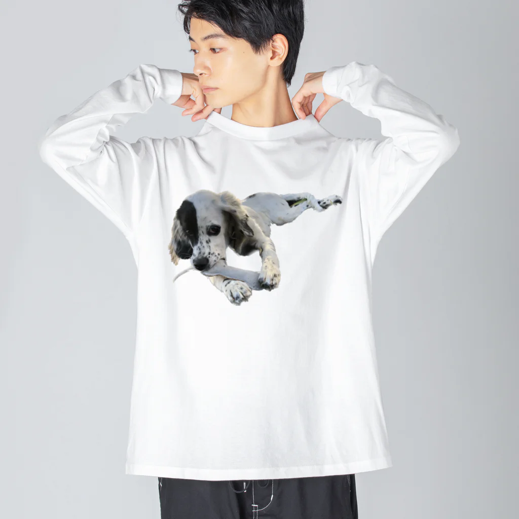 hrhrhrhrpのるちん2 Big Long Sleeve T-Shirt