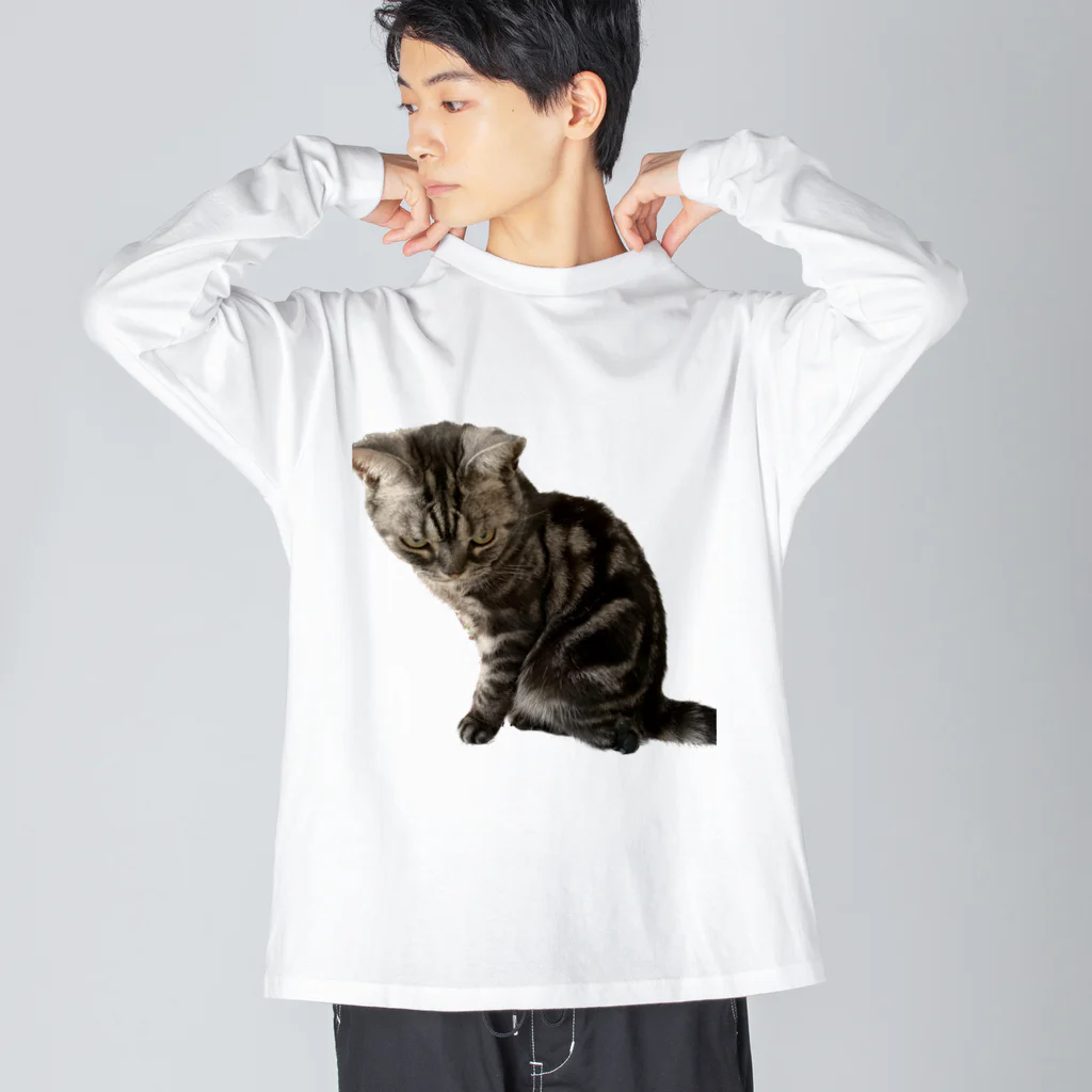 アメショーのひめちゃんのアメショーのひめちゃん⑦ Big Long Sleeve T-Shirt