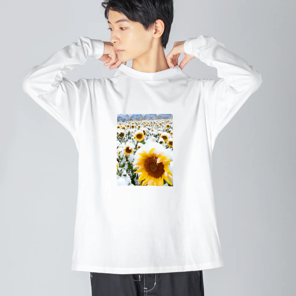 kazu_gの季節外れの雪の中のに咲く、季節外れのヒマワリ Big Long Sleeve T-Shirt