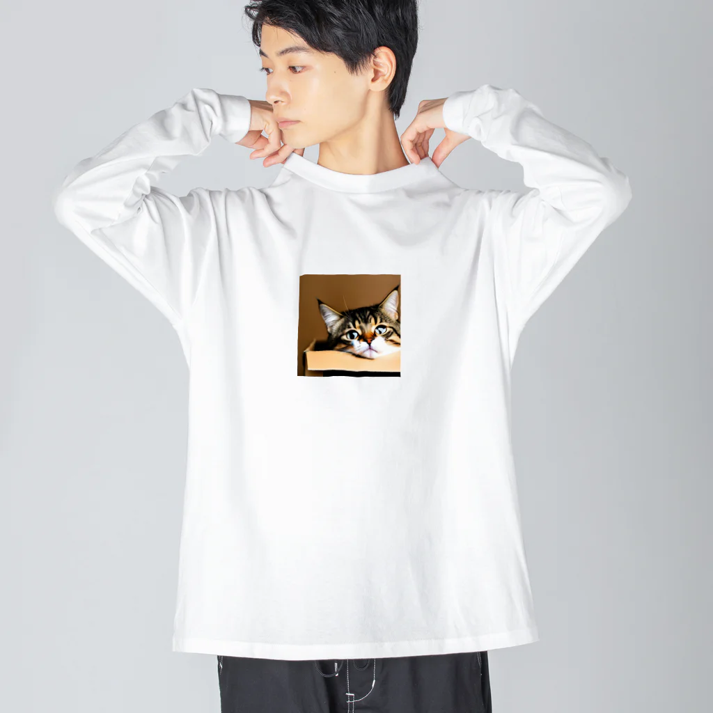 チェリオの箱に入った可愛い猫 Big Long Sleeve T-Shirt